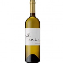 Malhadinha 2019 Bílé víno
