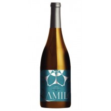 Bílé víno Casal do Ramilo Arinto 2019|Winefromportugal