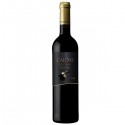 Caldas Reserva 2016 Red Wine|Winefromportugal