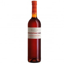 Muscat - Portugalsko|Winefromportugal