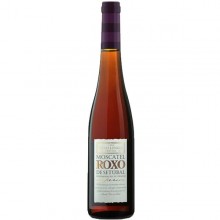 Muscat - Portugalsko|Winefromportugal
