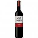Pacheca 2020 Red Wine