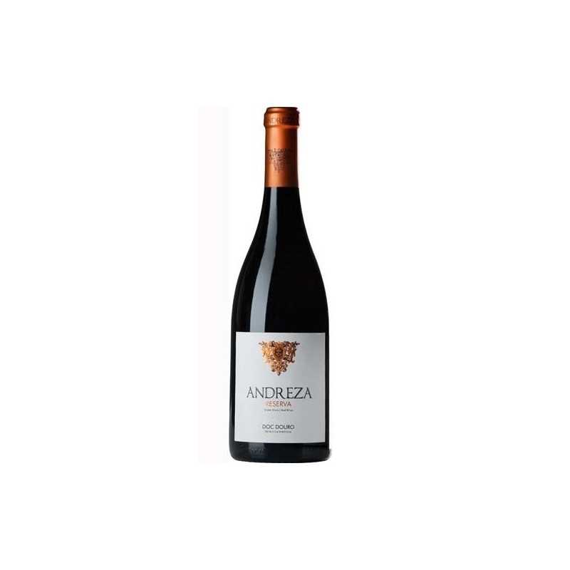 Andreza Reserva 2019 Red Wine