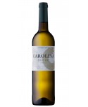 Carolina 2018 White Wine