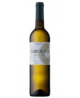 Carolina 2018 Bílé víno