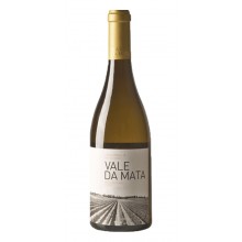Vale da Mata 2019 Bílé víno