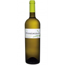 Hidrângeas 2015 Bílé víno