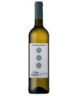 Bílé víno Tres Bagos Sauvignon Blanc 2019
