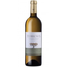 Bílé víno Terrenus 2018