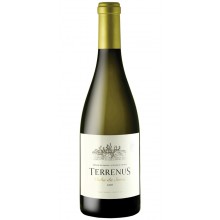 Terrenus Vinha da Serra 2019 Bílé víno