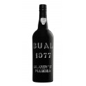 Blandy's Bual Vintage 1977 Madeira VÍNO|Winefromportugal