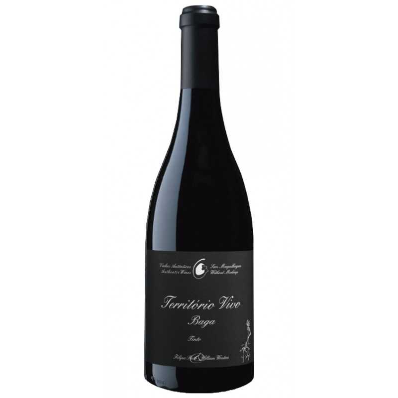 Filipa Pato Território Vivo 2020 Red Wine Filipa Pato Território Vivo 2020 Red Wine