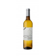 Sidónio de Sousa Reserva 2019 White Wine