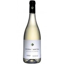 Dão Wines|Winefromportugal