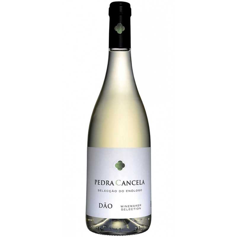 Pedra Cancela Seleção do Enólogo 2019 White Wine Pedra Cancela Seleção do Enólogo 2019 White Wine