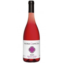 Dão Wines|Winefromportugal