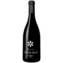 Dão Wines|Winefromportugal