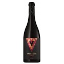 Vallegre Reserva 2016 Red Wine