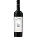 Quinta S. João Batista Reserva Touriga Nacional a Cabernet Sauvignon 2015 Červené víno|Winefromportugal