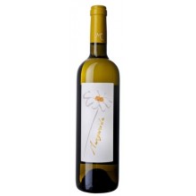 Margarida 2016 Bílé víno