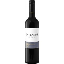 Červené víno Intensus Reserva 2019