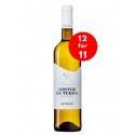 Contos da Terra 2016 Weißwein (12 für 11)|Winefromportugal