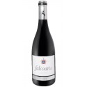 Falcoaria 2014 Rotwein|Winefromportugal