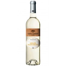 Quinta do Sobreiró de Cima Moscatel Galego Reserva 2019 White