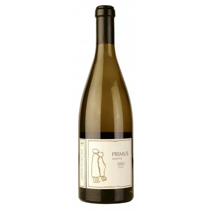 Quinta da Pellada Primus 2019 White Wine
