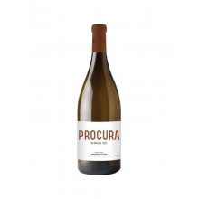 Alentejo viinit|Winefromportugal