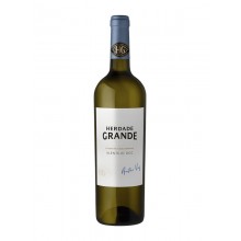 Alentejo viinit|Winefromportugal