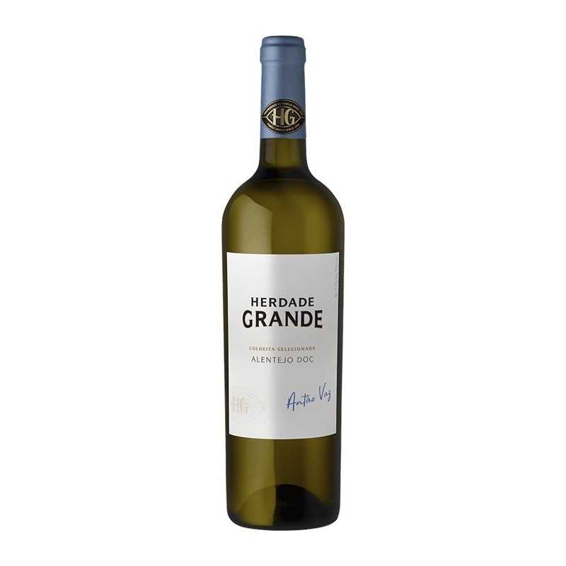 Herdade Grande Antão Vaz 2020 White Wine Herdade Grande Antão Vaz 2020 White Wine