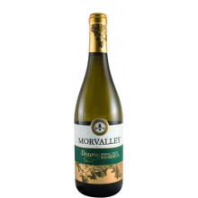 Morvalley Reserva 2017 White Wine