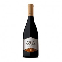 Dão Viinejä|Winefromportugal