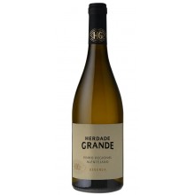 Alentejo viinit|Winefromportugal