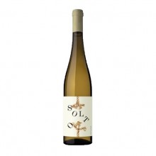 Vinho Verde|Winefromportugal