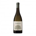 Singelus Alvarinho 2016 hvidvin|Winefromportugal