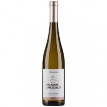 Vinho Verde|Winefromportugal