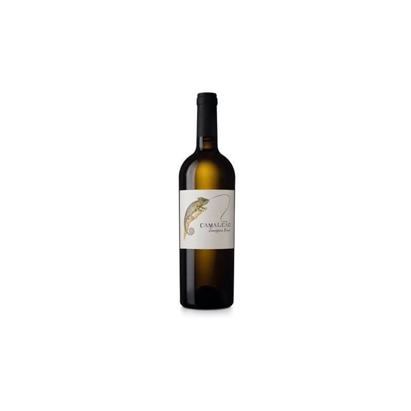 Camaleão Sauvignon Blanc 2016 White Wine|Winefromportugal