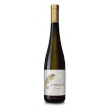 Camaleão Alvarinho 2017 bílé víno|Winefromportugal