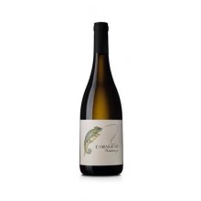 Vinho Verde|Winefromportugal