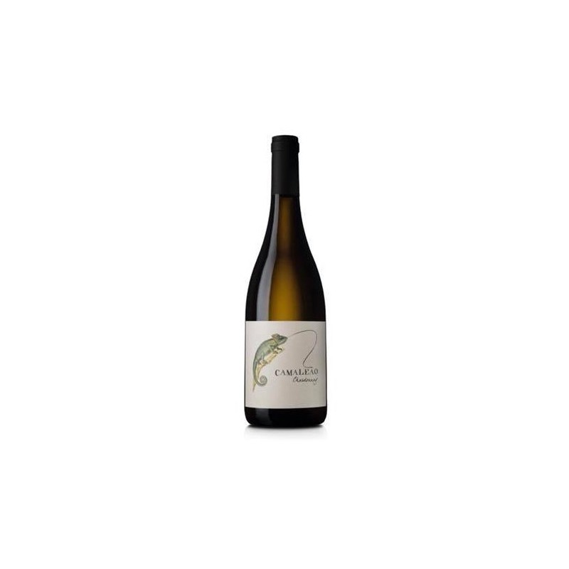 Camaleão Chardonnay 2016 bílé víno|Winefromportugal