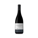 Camaleão Touriga Nacional 2015 červené víno|Winefromportugal