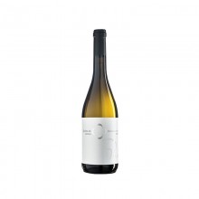 Dão Wines|Winefromportugal