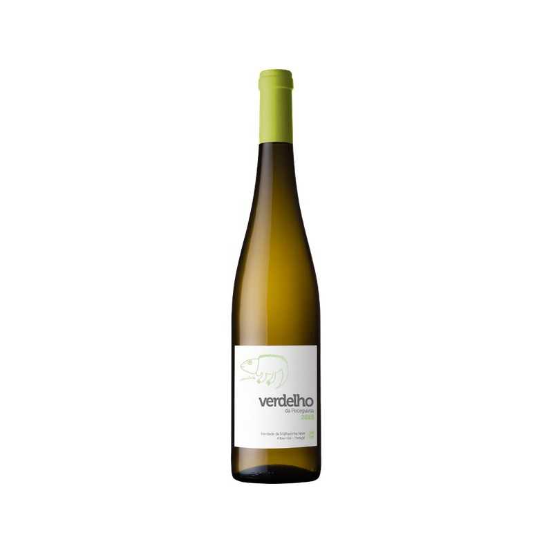 Verdelho da Peceguina 2015 Weißwein|Winefromportugal