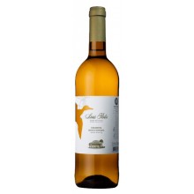 Bairrada Wijnen|Winefromportugal