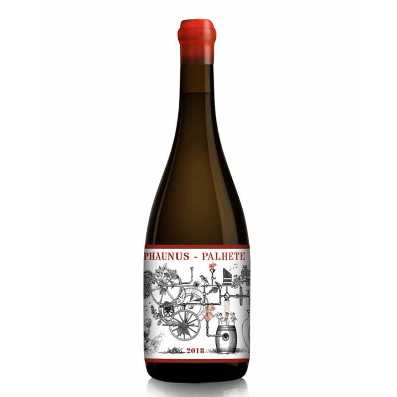 Phaunus Amphora Palhete 2019 Rosé Wine Phaunus Amphora Palhete 2019 Rosé Wine