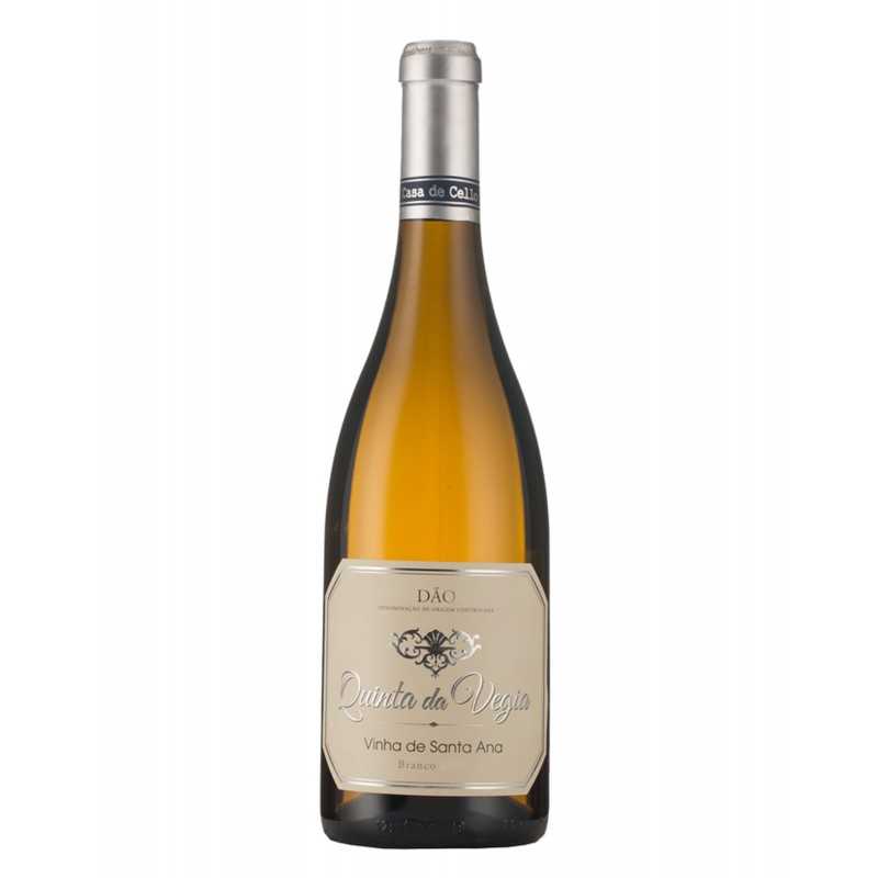 Quinta da Vegia Vinha de Santa Ana 2019 White Wine