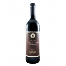 Bairrada vine|Winefromportugal