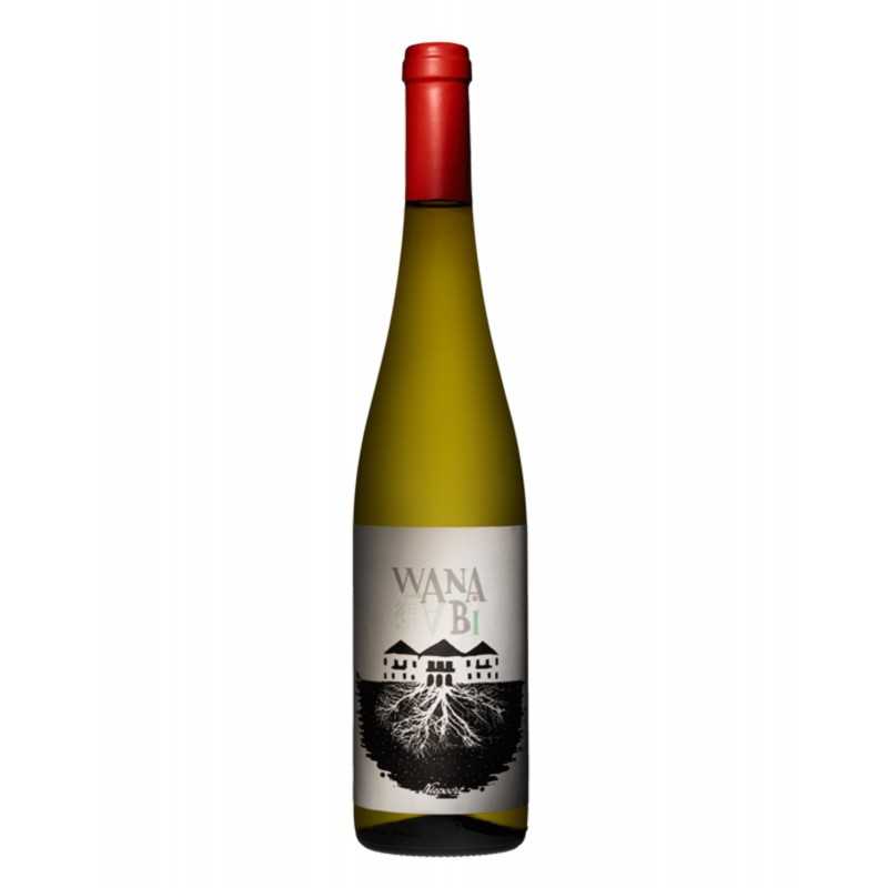 Niepoort Wana Bi Alvarinho 2017 hvidvin|Winefromportugal